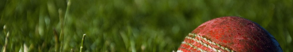 英雄联盟S13全球总决赛T1战队夺冠之路全回顾视频